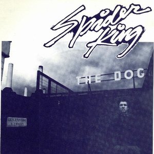 Spider King 的头像