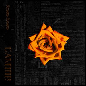 CANDOR