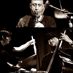 Avatar de Elliott Sharp Trio