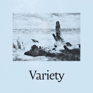 Plover - Single