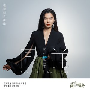 向光 (电视剧《简言的夏冬》片尾曲)