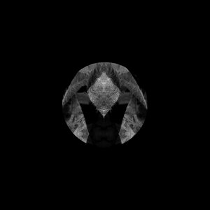 The Black Rabbit of Inlé