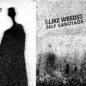 SELF SABOTAGE
