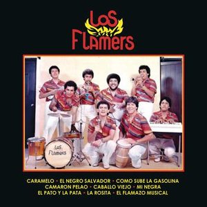 Los Flamers