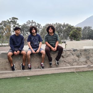 “Purofloro”的封面
