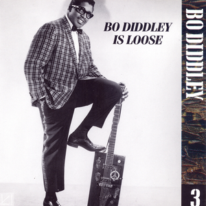 Bo Diddley - The Chess Years - Disc 3 of 12 - Zortam Music