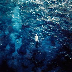 SURF - Single