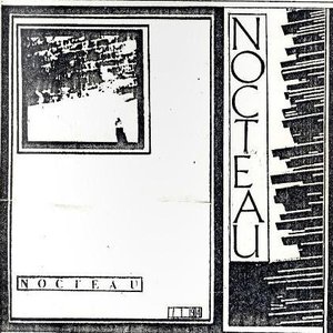 nocteau 的头像