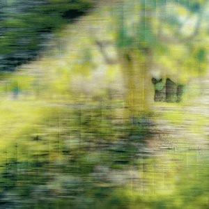 HEAPS GRASS