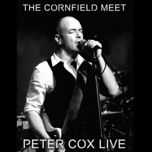 Live at the Cornfield Meet - Peter Cox Live