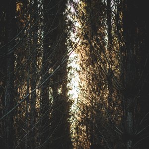 Lost and Found Path - Single