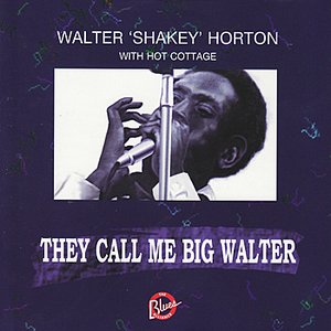 Bild für 'They Call Me Big Walter'