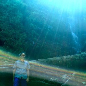 Avatar di Daryl Groetsch