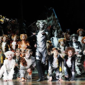 Elenco Original Argentina Cats 的头像