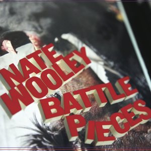 Battle Pieces