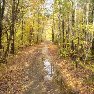 Mjaskowskij: Cello Concerto and Symphony No. 15