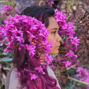 Wild Blooms