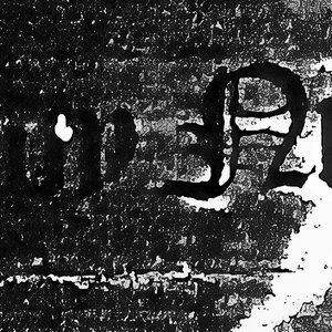 Lady Night 的头像