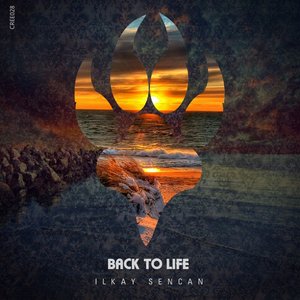 Back to Life - Single