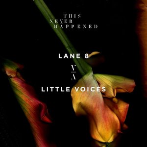 Little Voices - Single