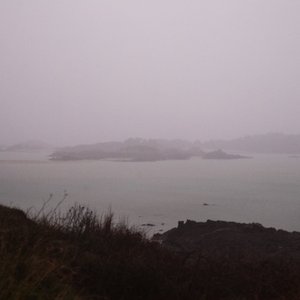 Counterfeit - Single