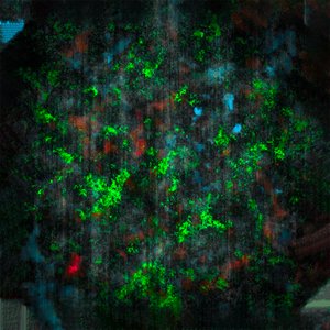 Transitionary