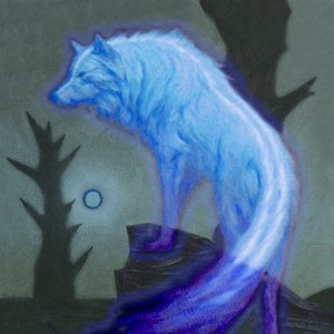 “Imaris”的封面