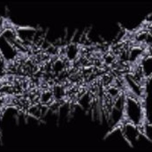 “Cadaverous Suppuration”的封面