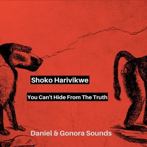 Shoko Harivikwe