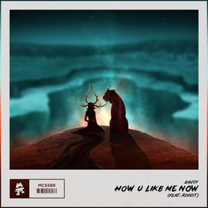 How U Like Me Now (feat. Roniit)