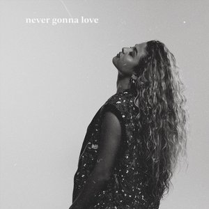 Never Gonna Love