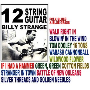 12 String Guitar