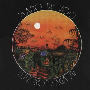 Plano de Vôo cover
