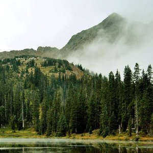 Evergreen Refuge 的头像