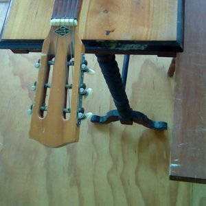 Here Today Gone Tomorrow