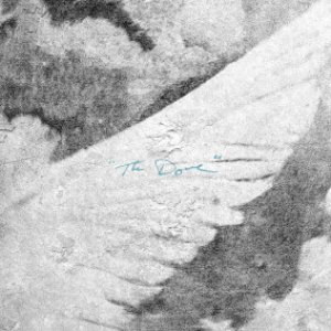 The Dove (Live) - Single