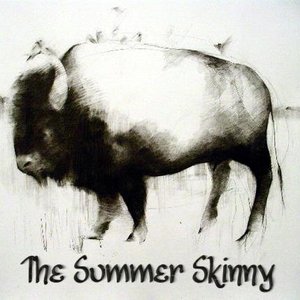 Аватар для The Summer Skinny