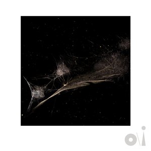 Cover Peter Gabriel – Put the Bucket Down - Dark-Side Mix