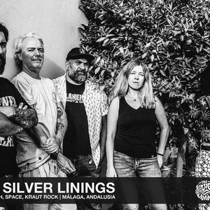 Image for 'The Silver Linings'