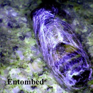 Entombed