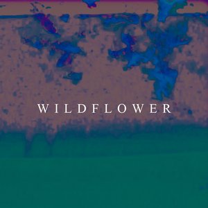 Wildflower