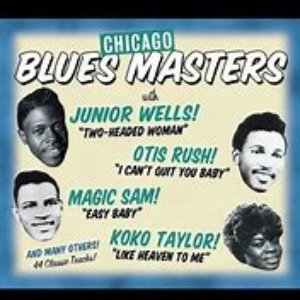 Chicago Blues Masters