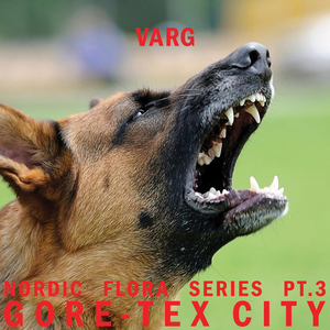 Nordic Flora Series, Pt. 3: Gore-Tex City