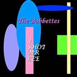 I Shot Mr Lee