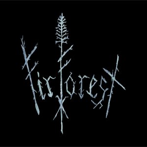 Avatar for Fir Forest