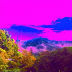 Magenta Garden