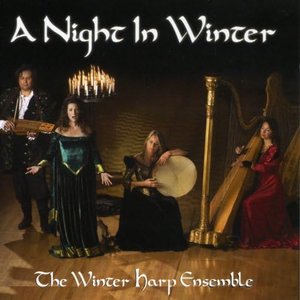 A Night In Winter