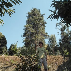 “Martinho Lucas Pires e O Deserto Branco”的封面