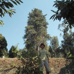 Avatar de Martinho Lucas Pires e O Deserto Branco