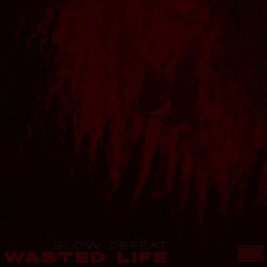 Wasted Life